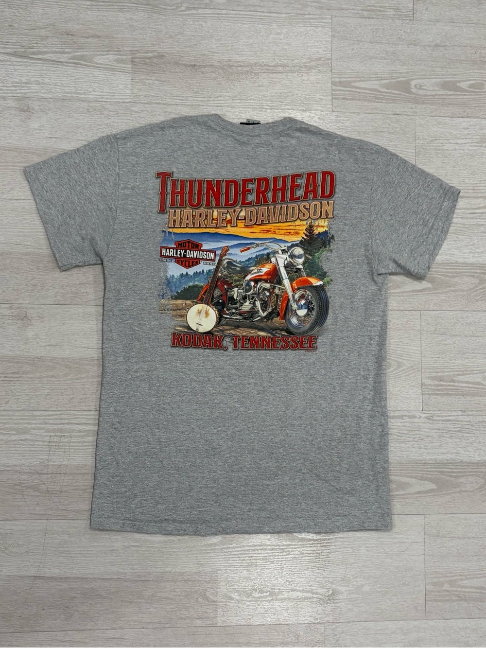 Thunderhead Harley-Davidson Kodak Tennessee Graphic Grey T shirt Size M